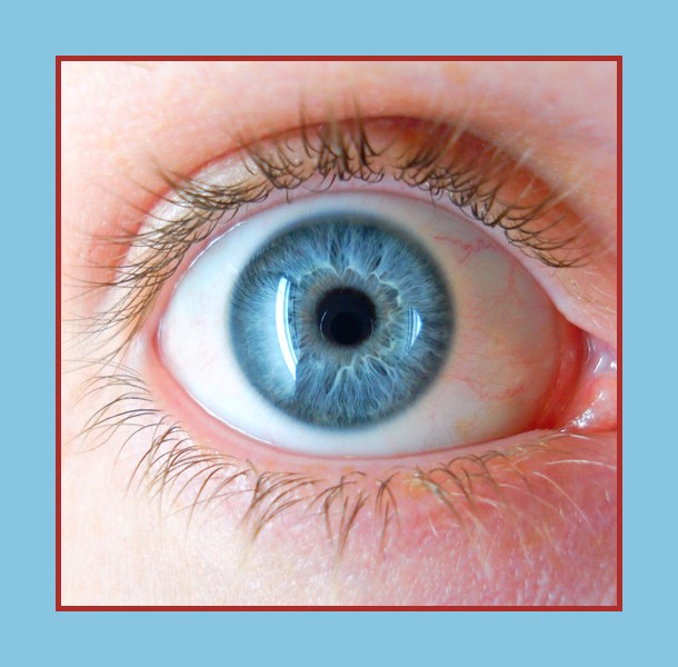 Qu Est Ce Qui Est Bleu Quelle Est La Signification Du Bleu Et Comment L'utiliser 6 que du bleu